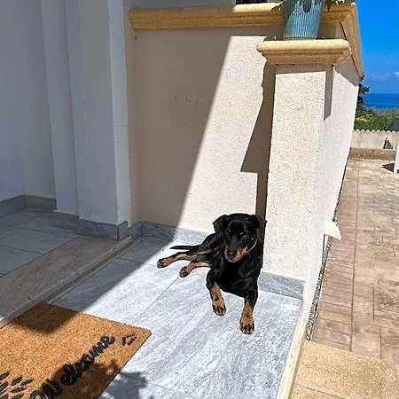 Ada